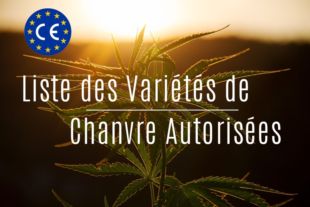 liste des varietes de chanvre autorisees en France et en Europe