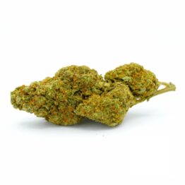 Boutique CBD Mouvaux - Fleur de CBD - AK47 - YCBD