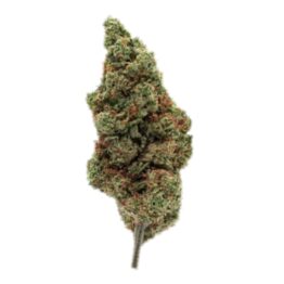 Boutique CBD Mouvaux - Fleur de CBD - AMNESIA - YCBD