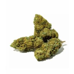 Boutique CBD Mouvaux - Fleur de CBD - BUDDHA KUSH - YCBD
