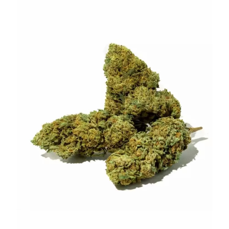 Boutique CBD Mouvaux - Fleur de CBD - BUDDHA KUSH - YCBD