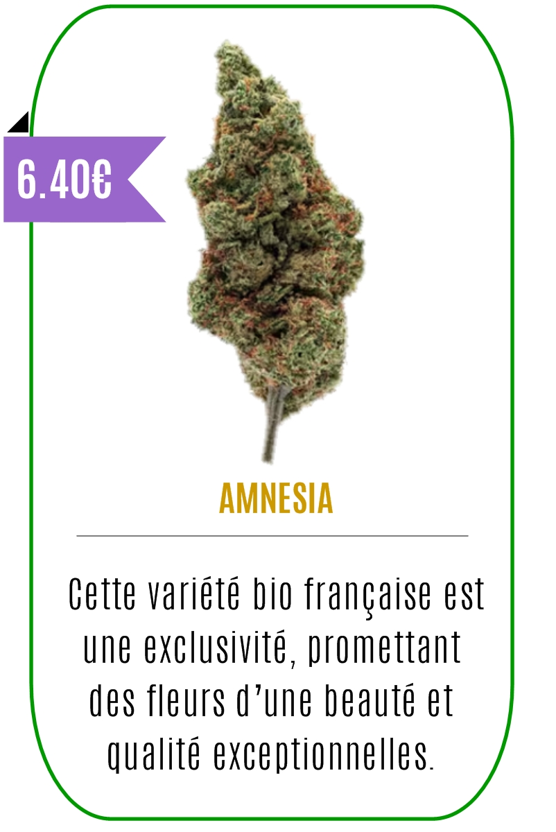 Boutique CBD - Fleur de CBD - AMNESIA - Mouvaux