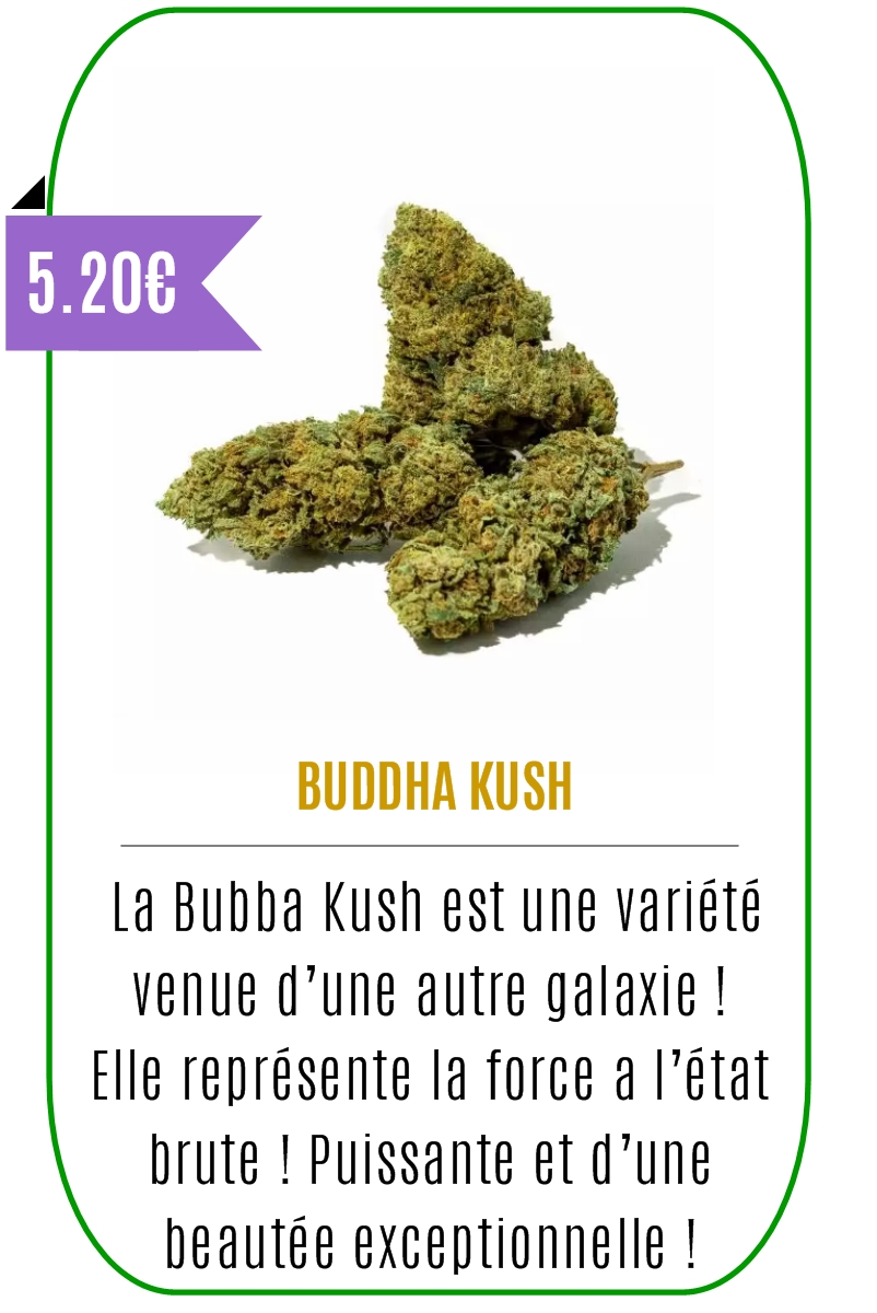 Boutique CBD - Fleur de CBD - BUDDHA KUSH - Mouvaux