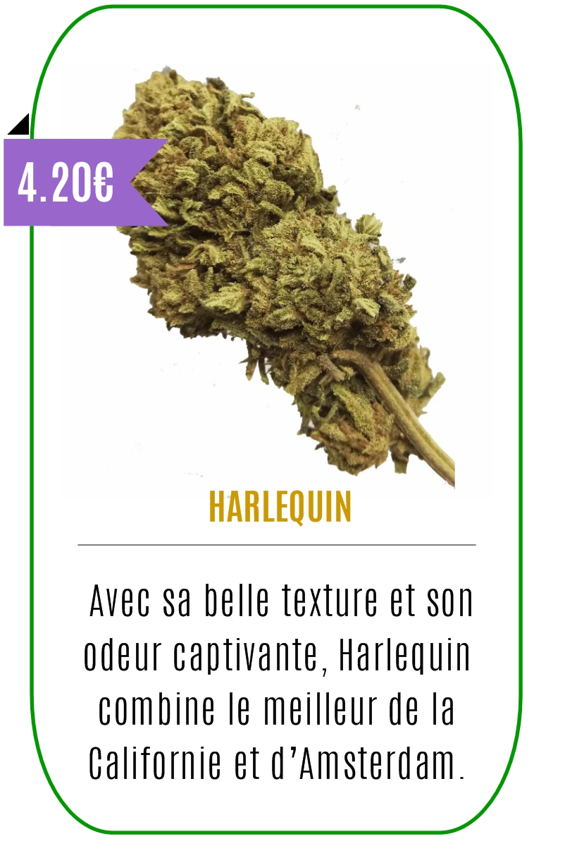 Boutique CBD - Fleur de CBD - HARLEQUIN - Mouvaux