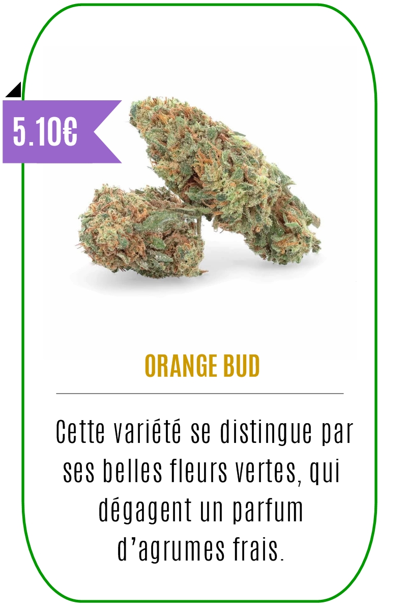 Boutique CBD - Fleur de CBD - ORANGE BUD - Mouvaux