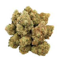fleur de CBD - CHERRY-BANANA - Y-CBD - Mouvaux