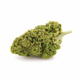 fleur de CBD - Cannatoni - Indoor - Y-CBD - MOUVAUX