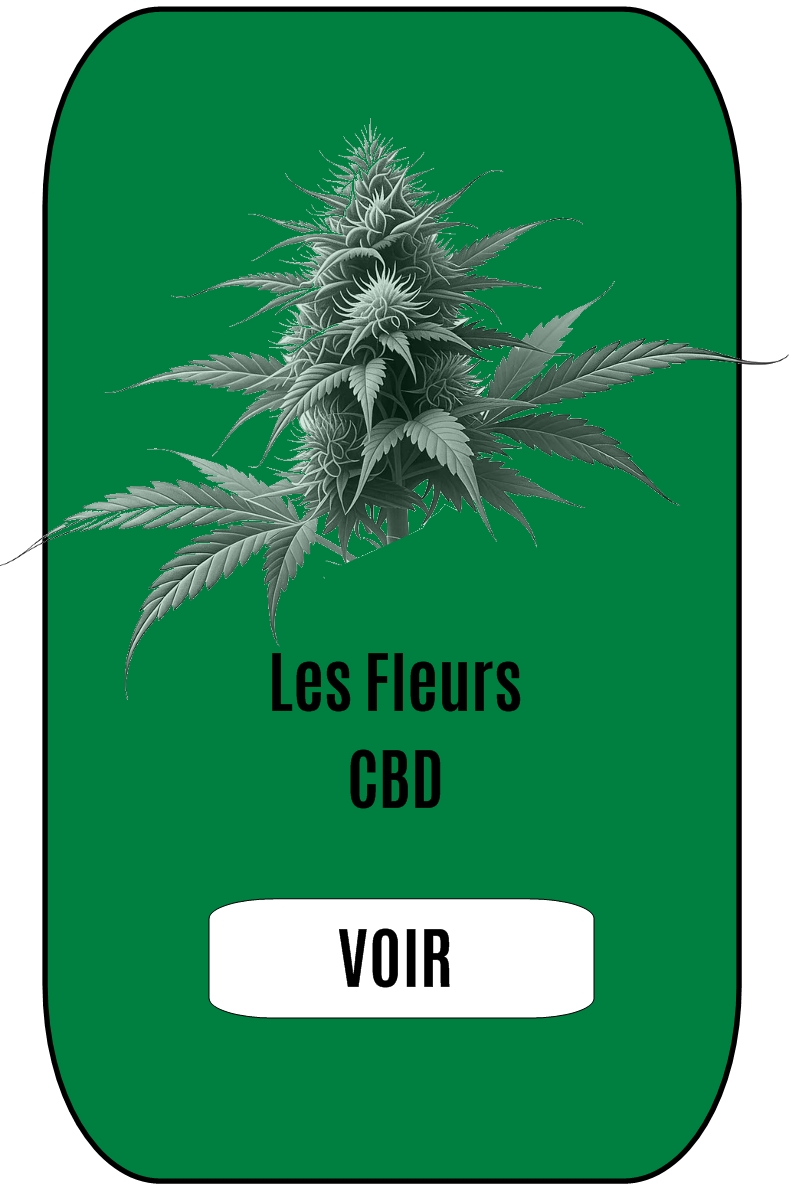 y-cbd - catégorie les fleurs cbd - cbd shop - Lille, Mouvaux -
