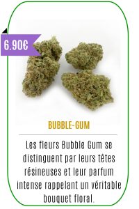 Boutique CBD - Fleur de CBD - BUBBLE GUM - Mouvaux