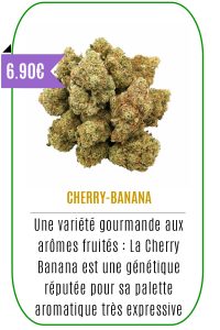 Boutique CBD - Fleur de CBD - CHERRY BANANA - Mouvaux