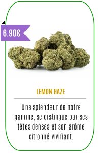 Boutique CBD - Fleur de CBD - LEMON HAZE - Mouvaux