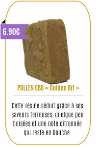 Boutique CBD -POLLEN CBD « Golden Rif »-Mouvaux